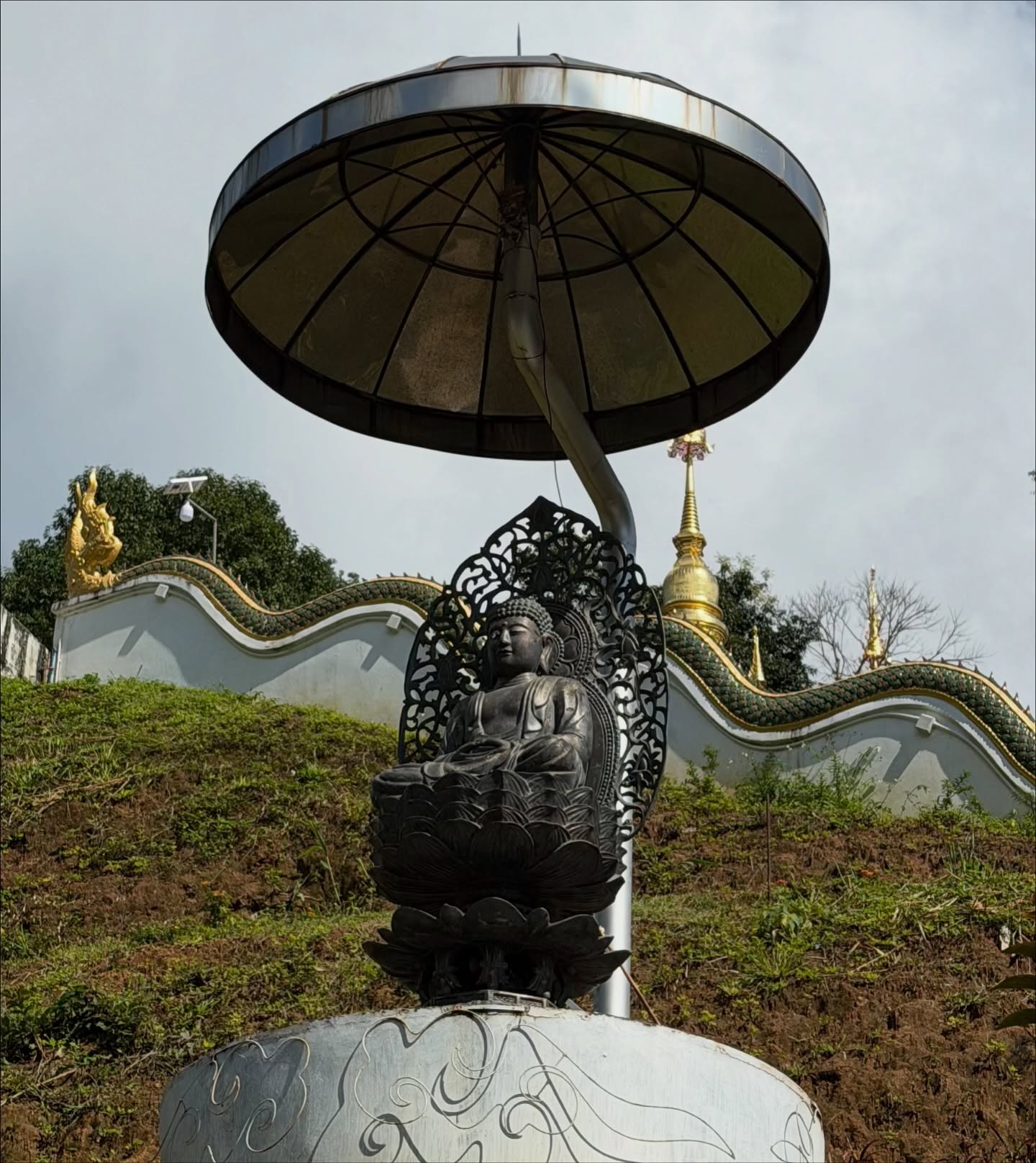 พลอย - ชิดจันทร์ ห่ง