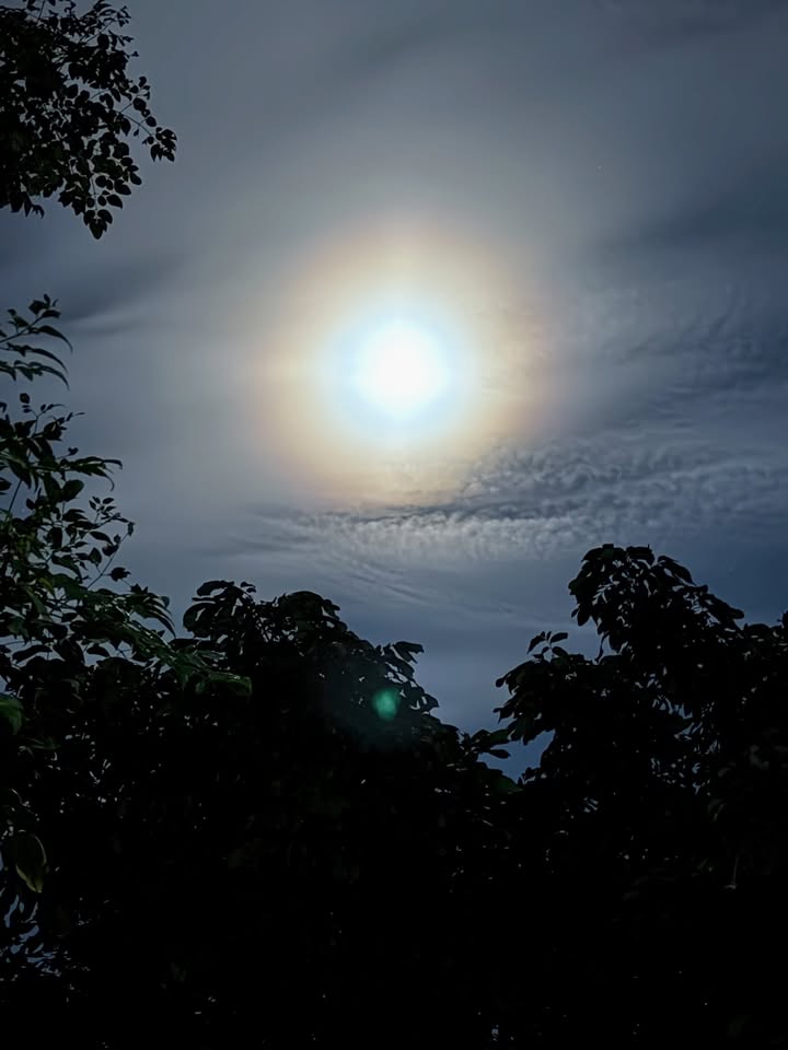 พลอย - ชิดจันทร์ ห่ง