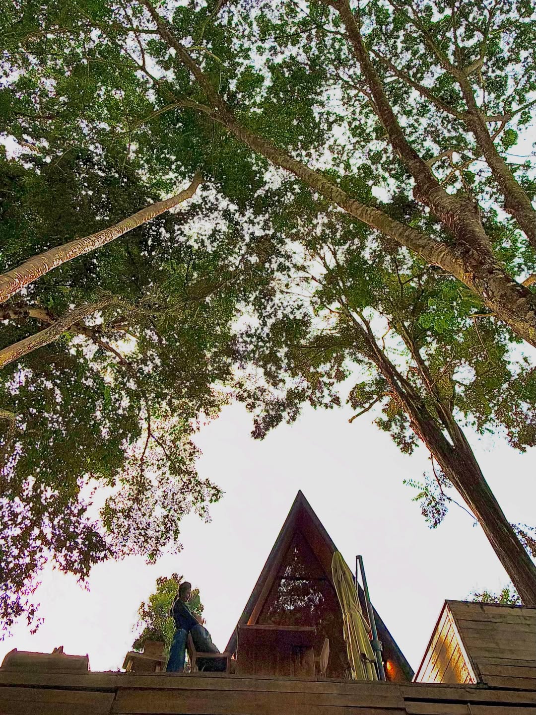 พลอย - ชิดจันทร์ ห่ง