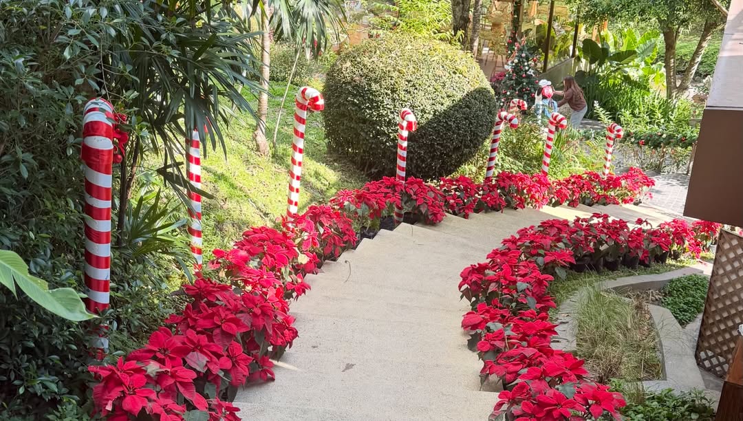 พลอย - ชิดจันทร์ ห่ง