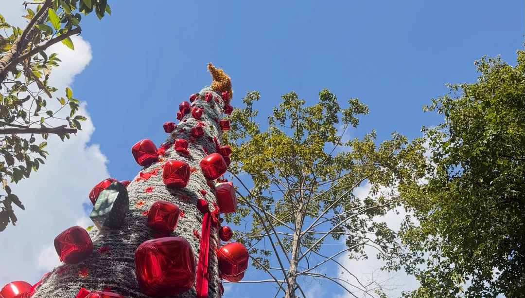 พลอย - ชิดจันทร์ ห่ง