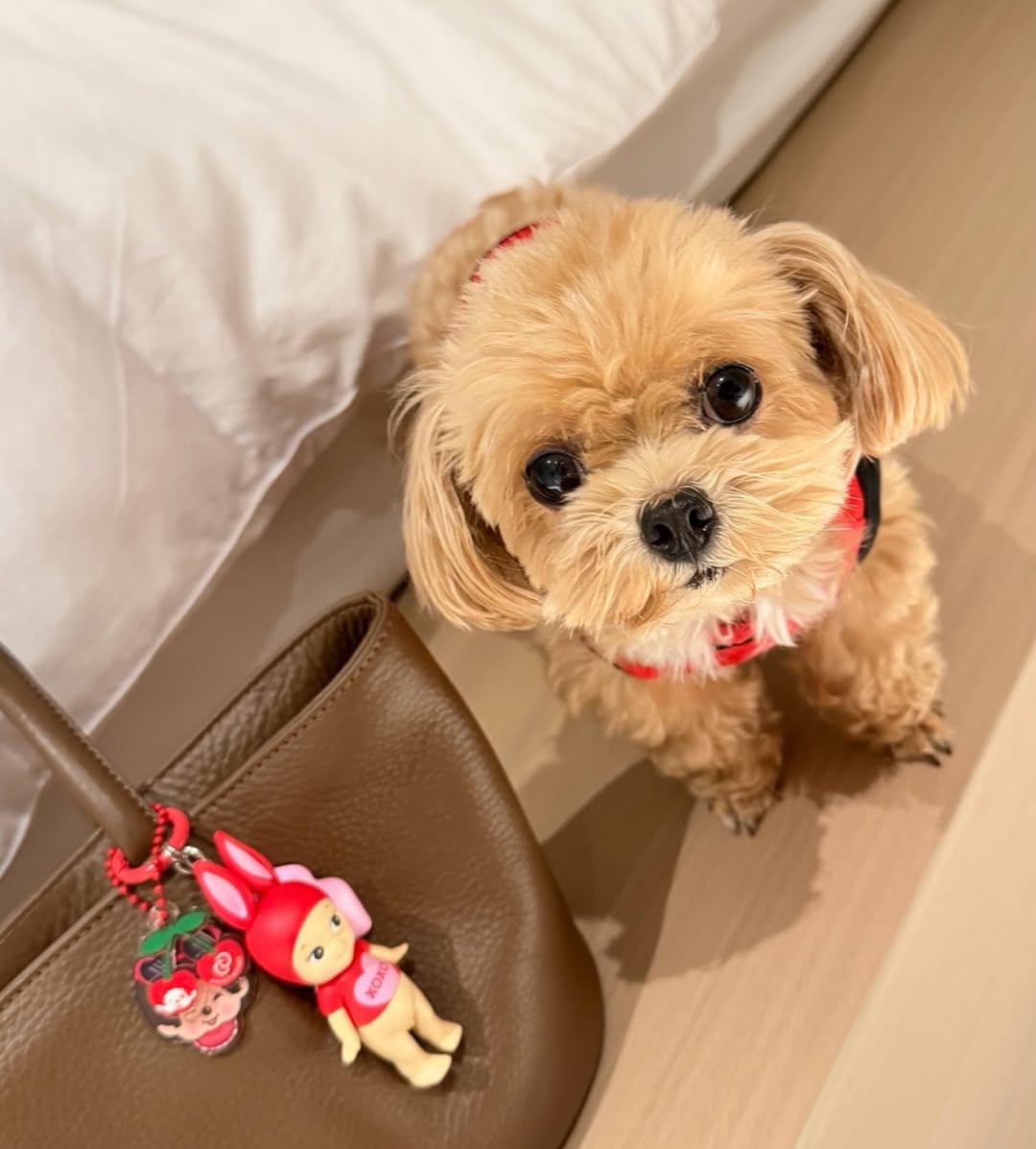 พลอย - ชิดจันทร์ ห่ง