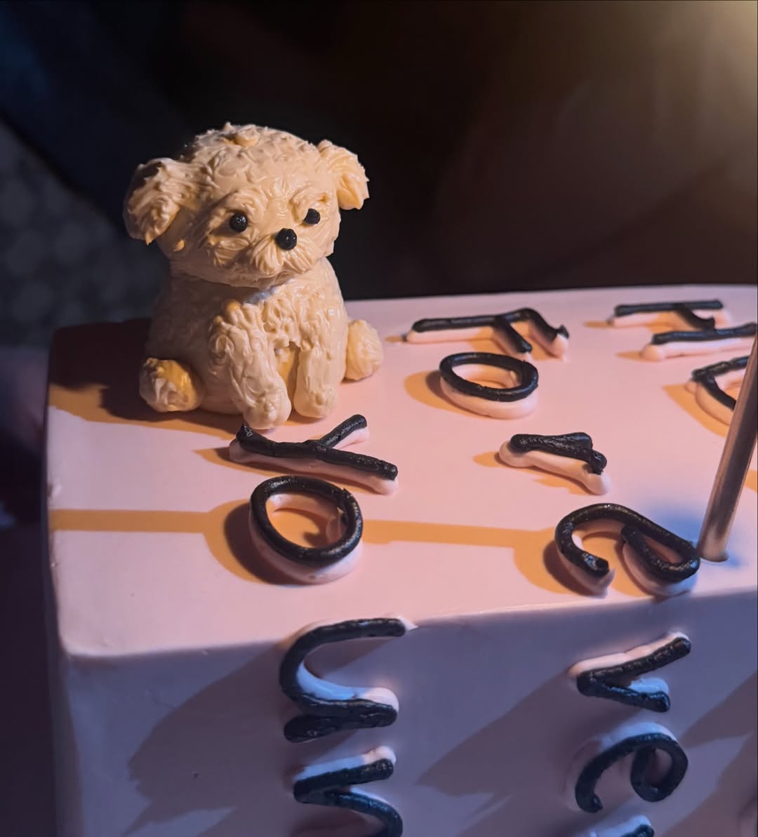 พลอย - ชิดจันทร์ ห่ง