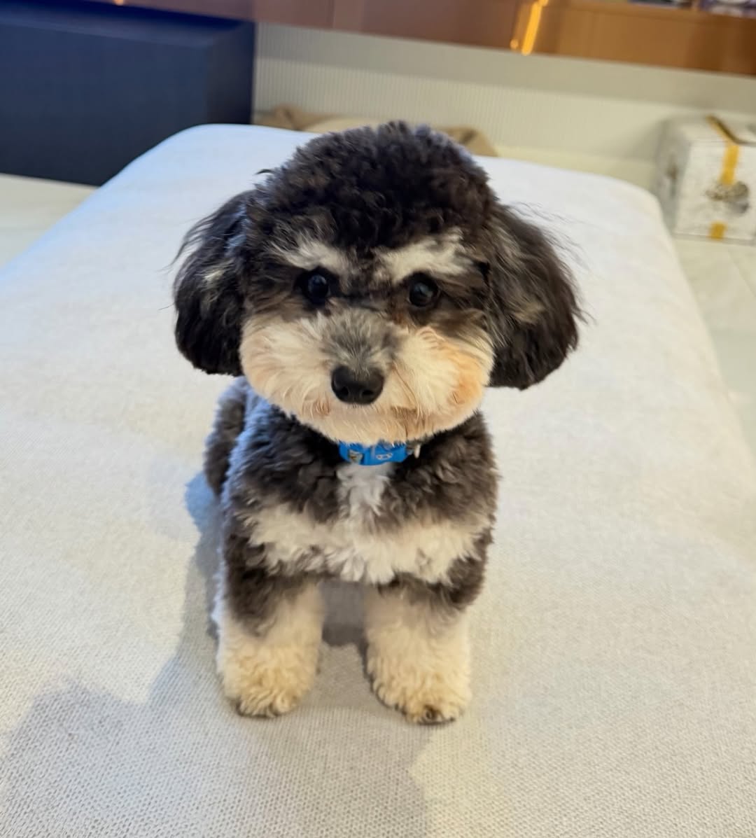 พลอย - ชิดจันทร์ ห่ง