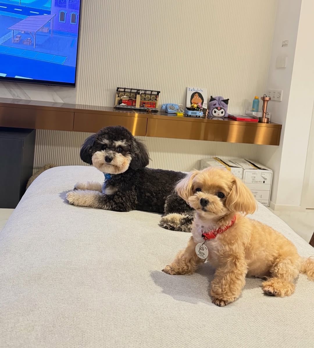 พลอย - ชิดจันทร์ ห่ง