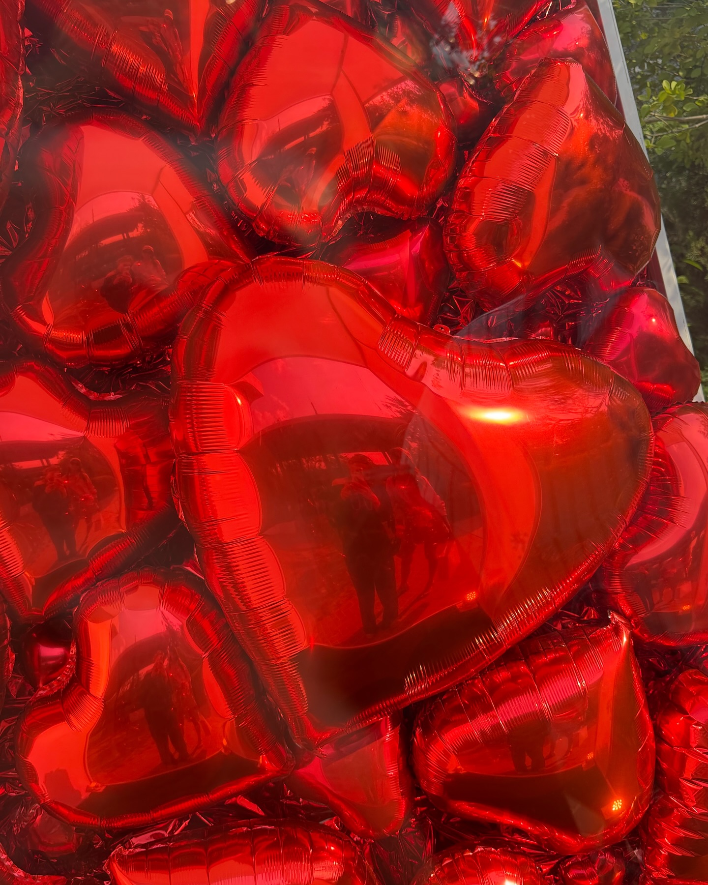 พลอย - ชิดจันทร์ ห่ง