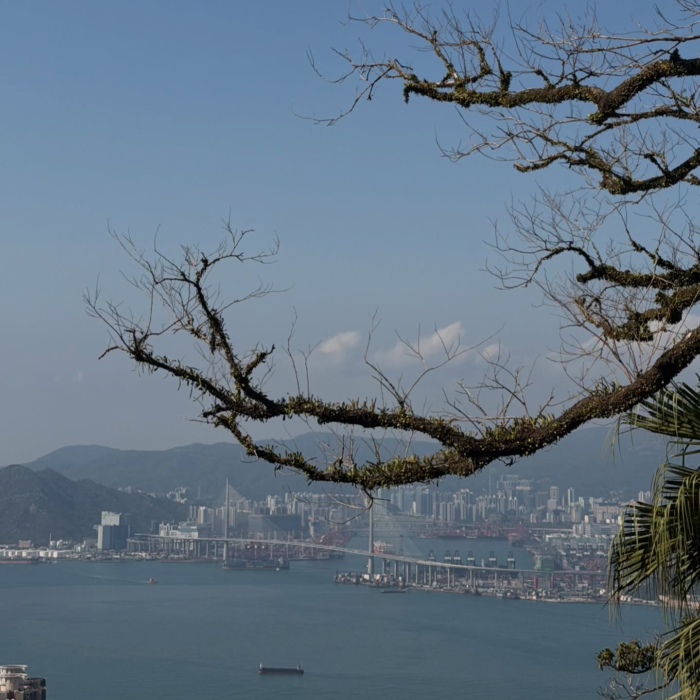 พลอย - ชิดจันทร์ ห่ง