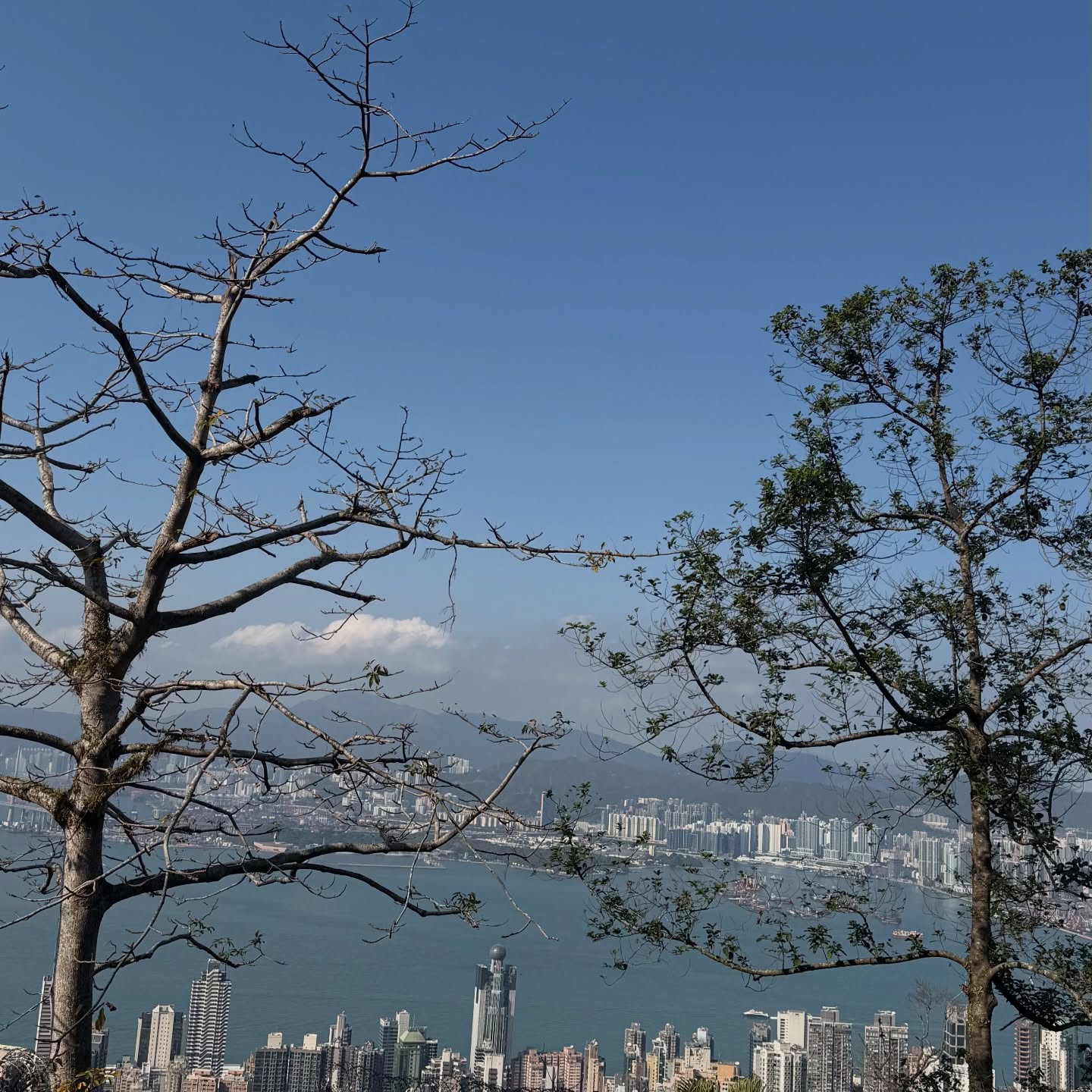 พลอย - ชิดจันทร์ ห่ง