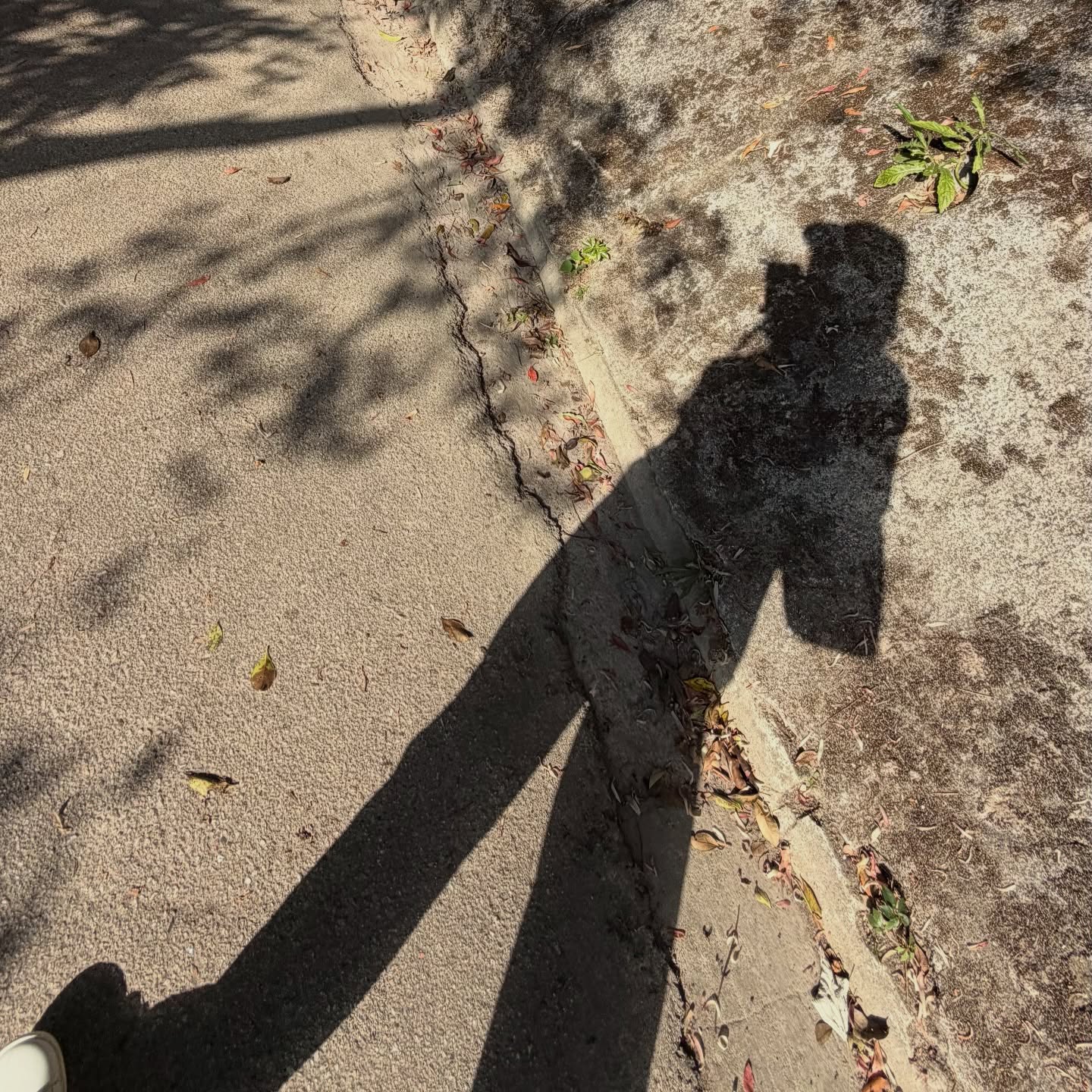 พลอย - ชิดจันทร์ ห่ง