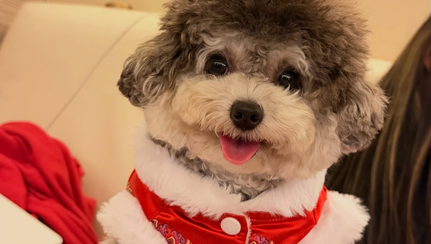 พลอย - ชิดจันทร์ ห่ง