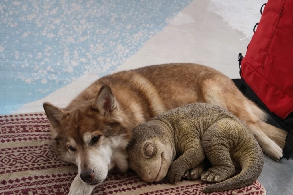 พลอย - ชิดจันทร์ ห่ง