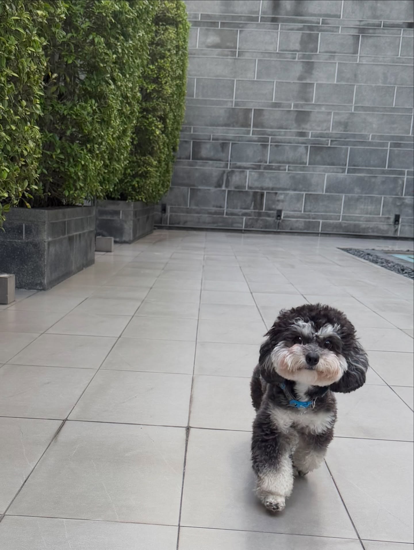 พลอย - ชิดจันทร์ ห่ง