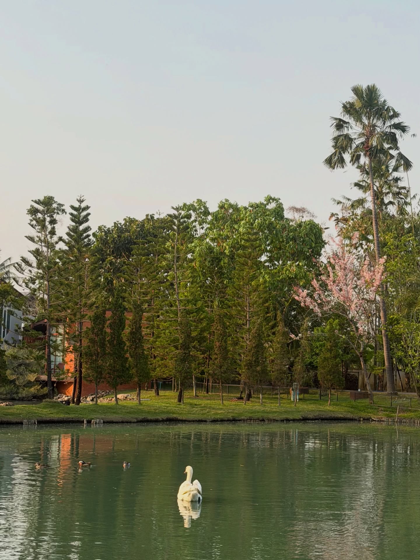 พลอย - ชิดจันทร์ ห่ง