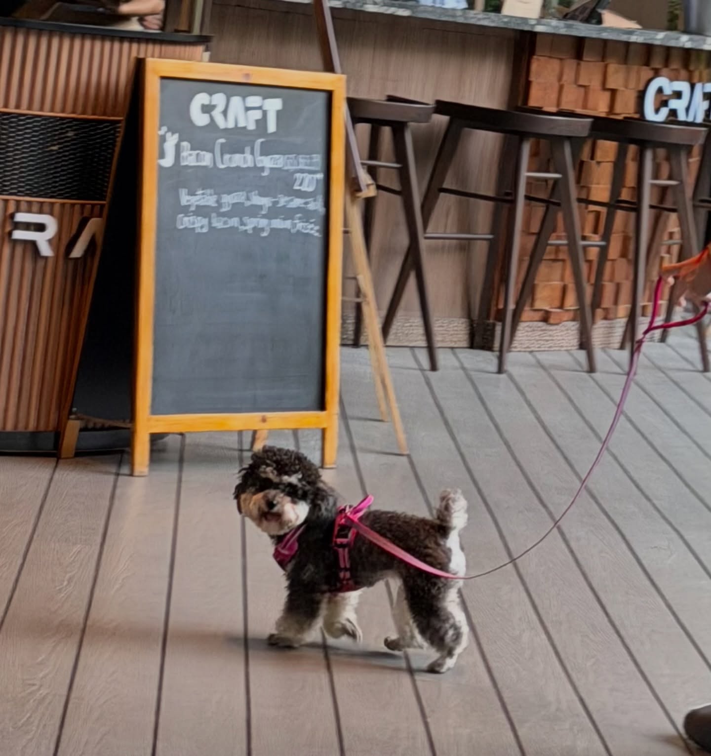 พลอย - ชิดจันทร์ ห่ง