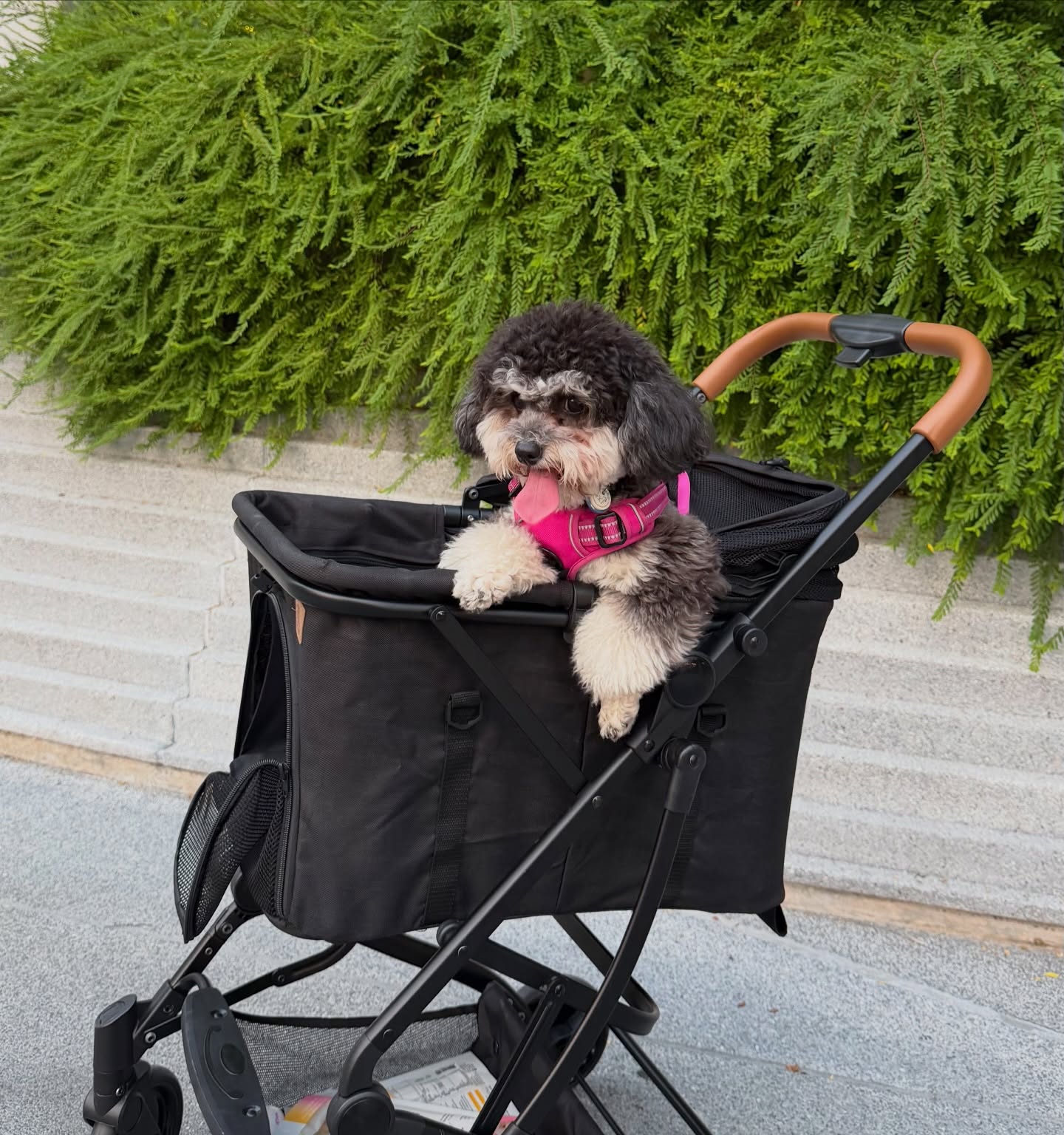 พลอย - ชิดจันทร์ ห่ง