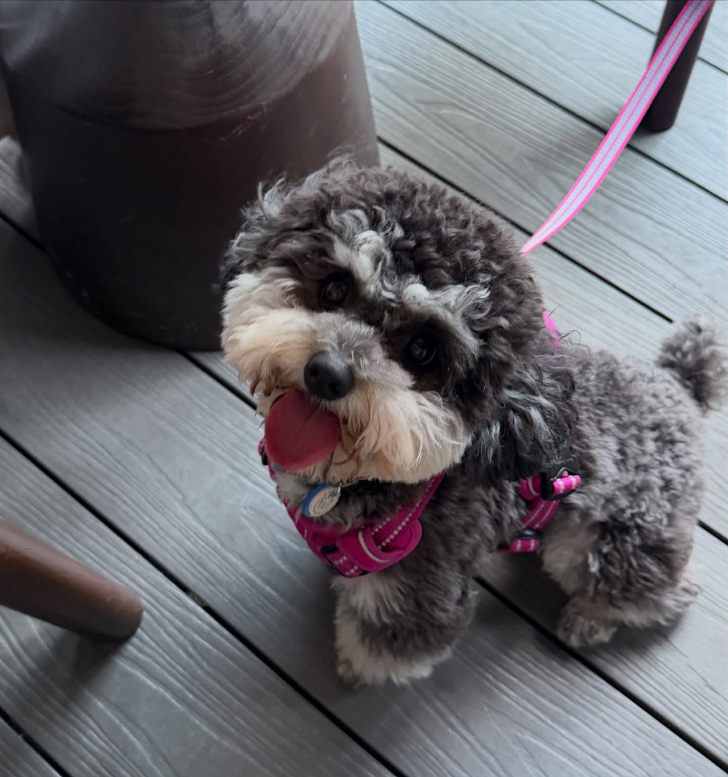 พลอย - ชิดจันทร์ ห่ง