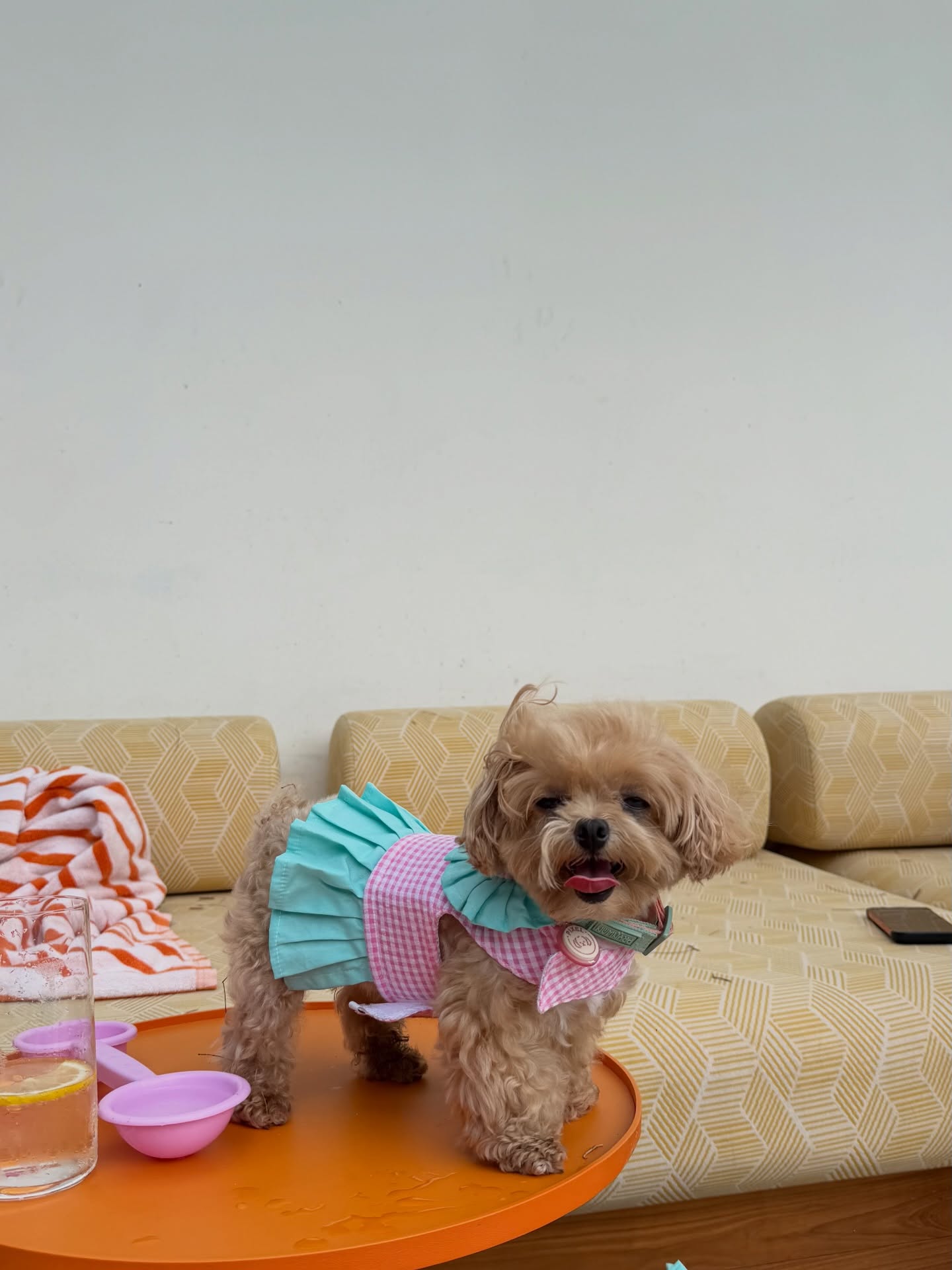 พลอย - ชิดจันทร์ ห่ง