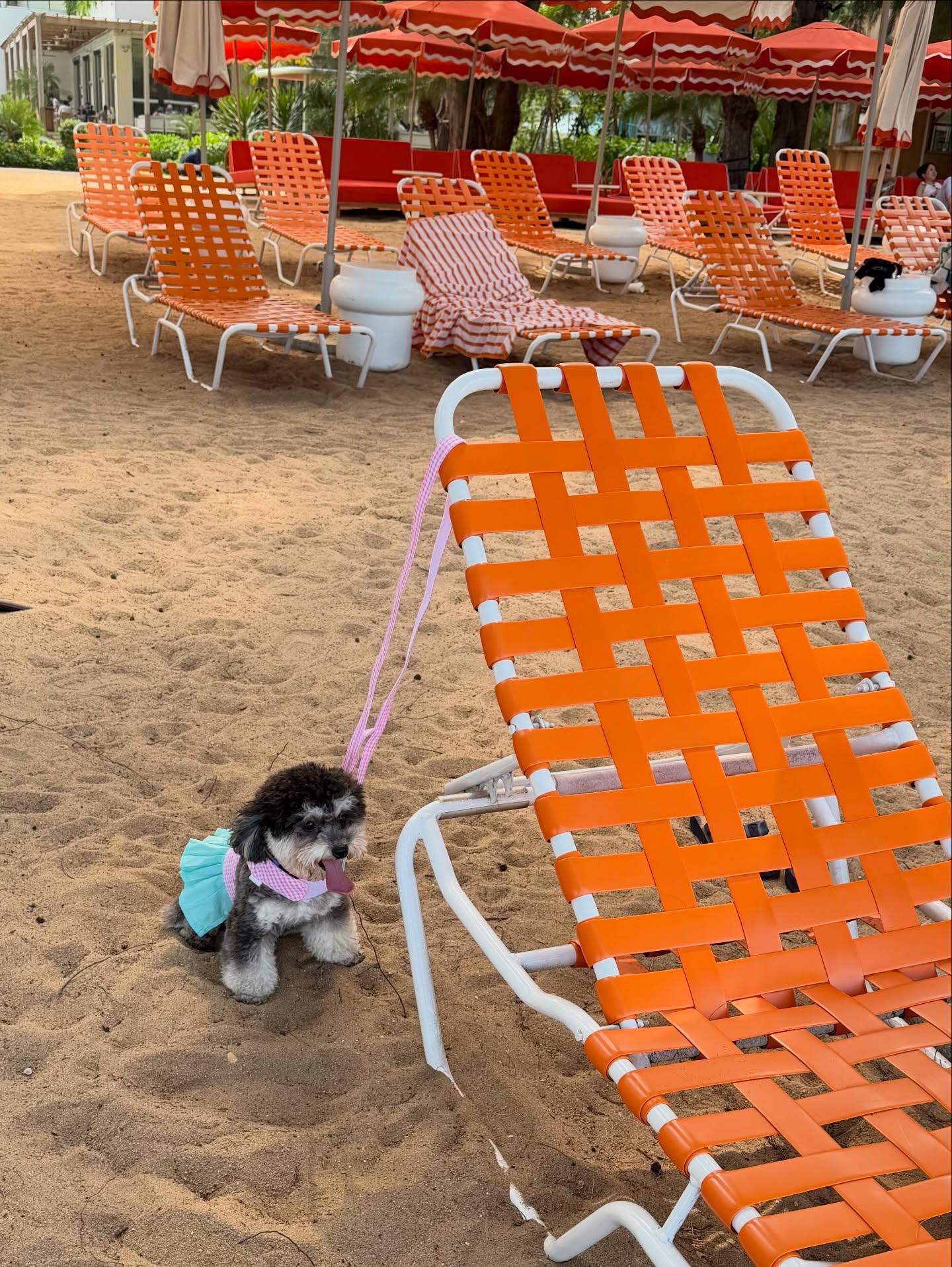 พลอย - ชิดจันทร์ ห่ง