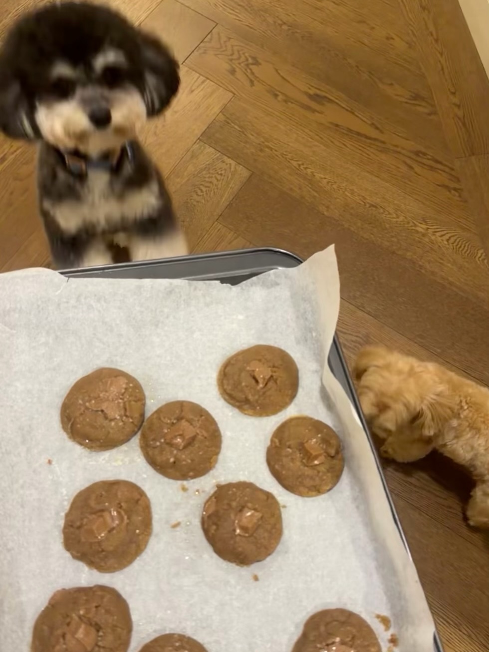 พลอย - ชิดจันทร์ ห่ง