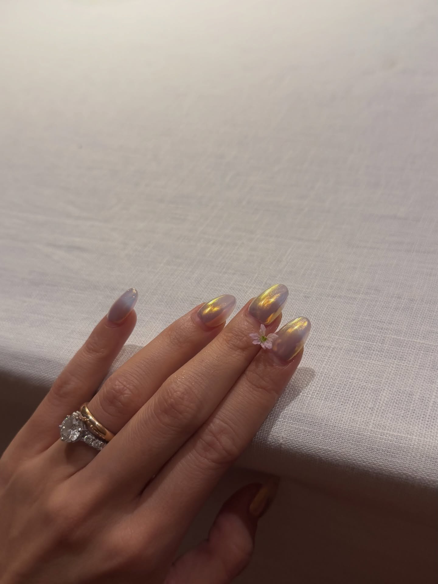 พลอย - ชิดจันทร์ ห่ง