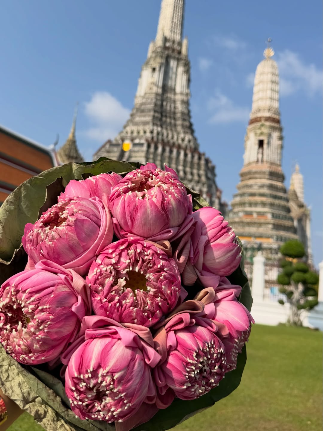 พลอย - ชิดจันทร์ ห่ง