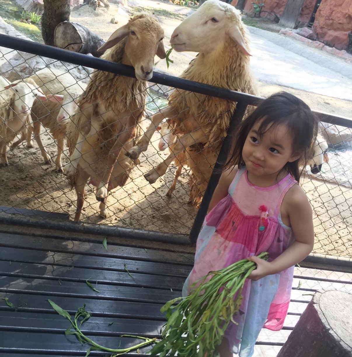 พลอย - ชิดจันทร์ ห่ง