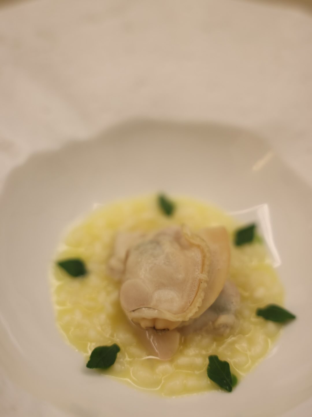 พลอย - ชิดจันทร์ ห่ง