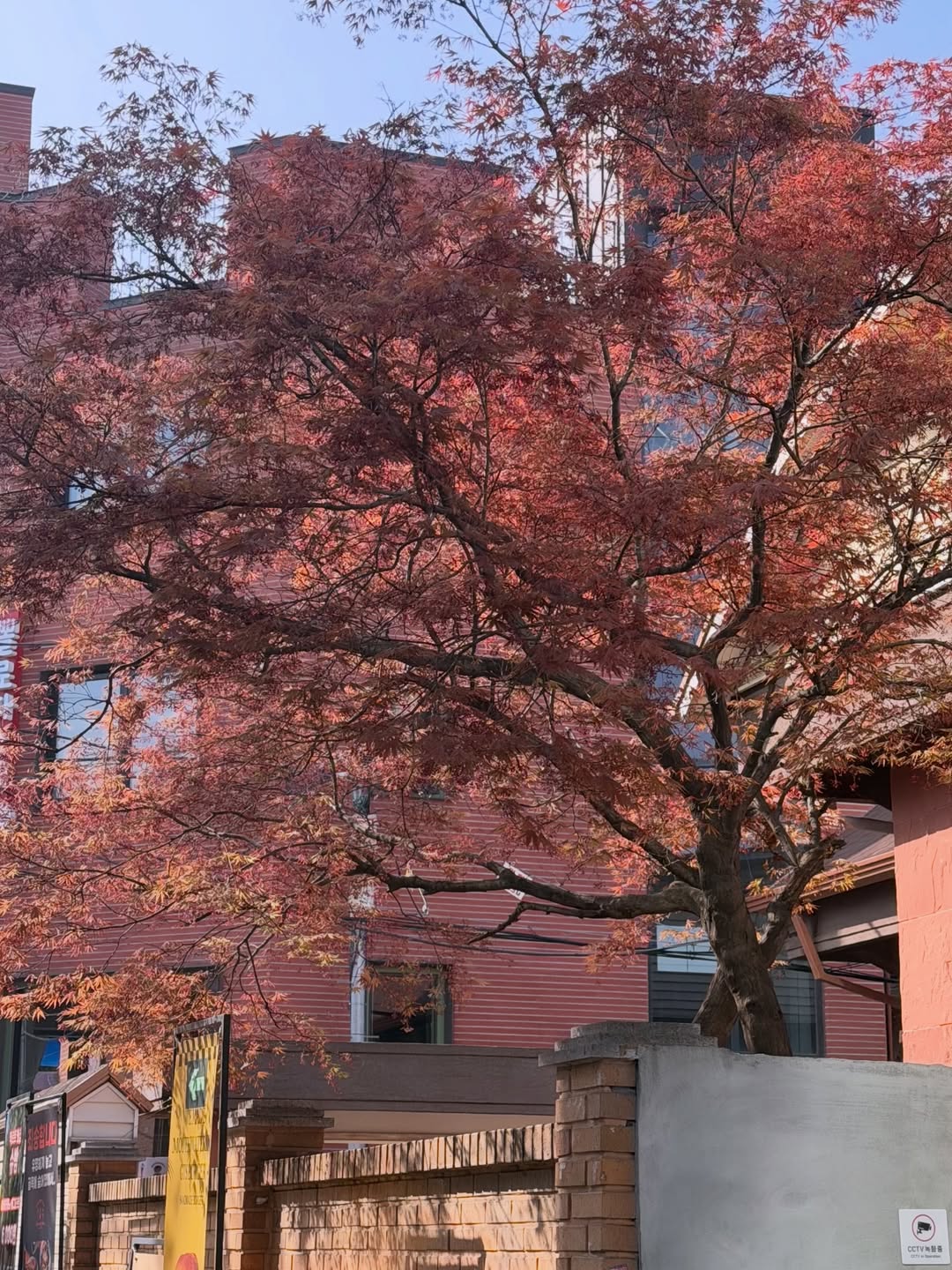 พลอย - ชิดจันทร์ ห่ง