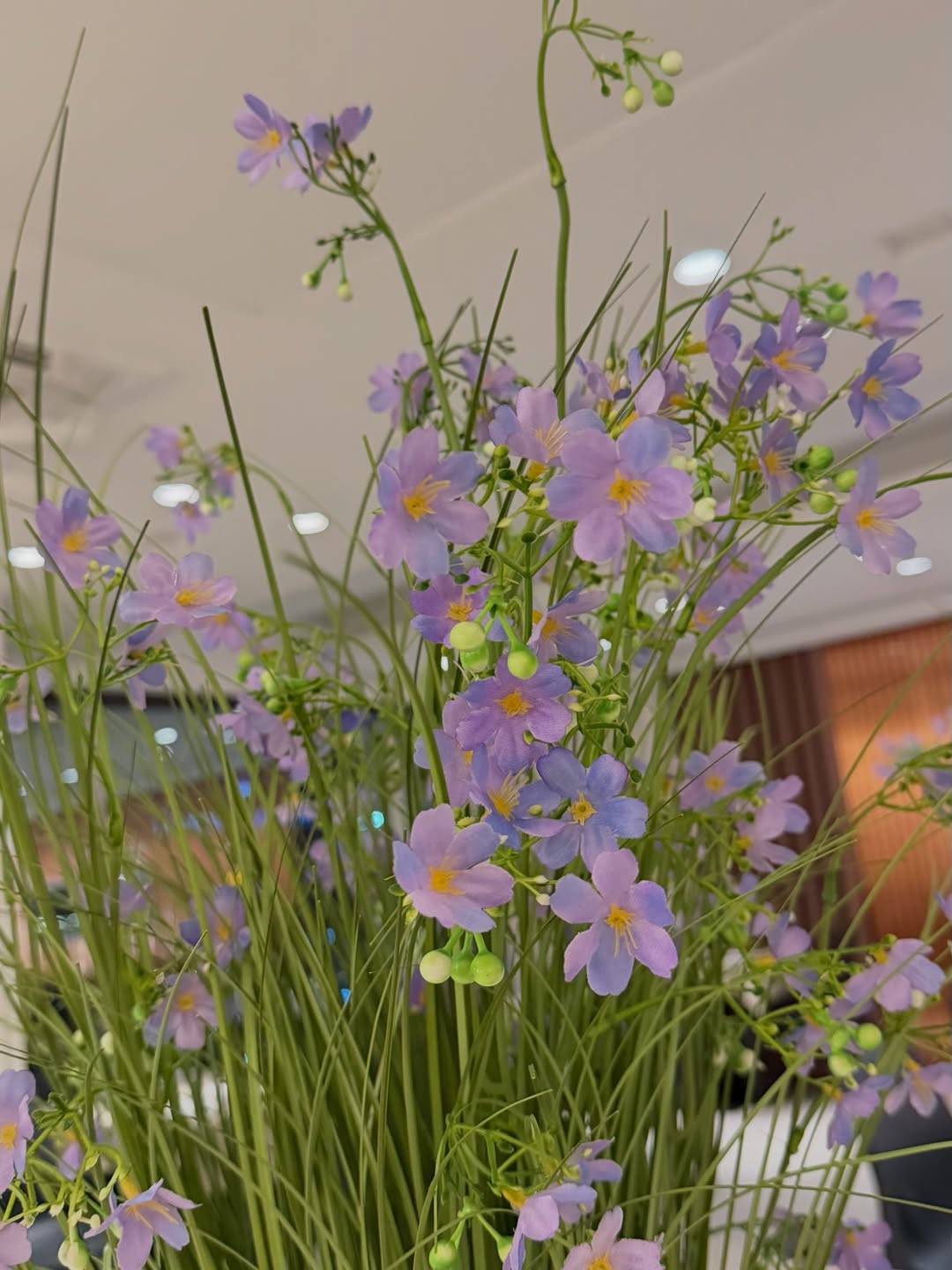 พลอย - ชิดจันทร์ ห่ง