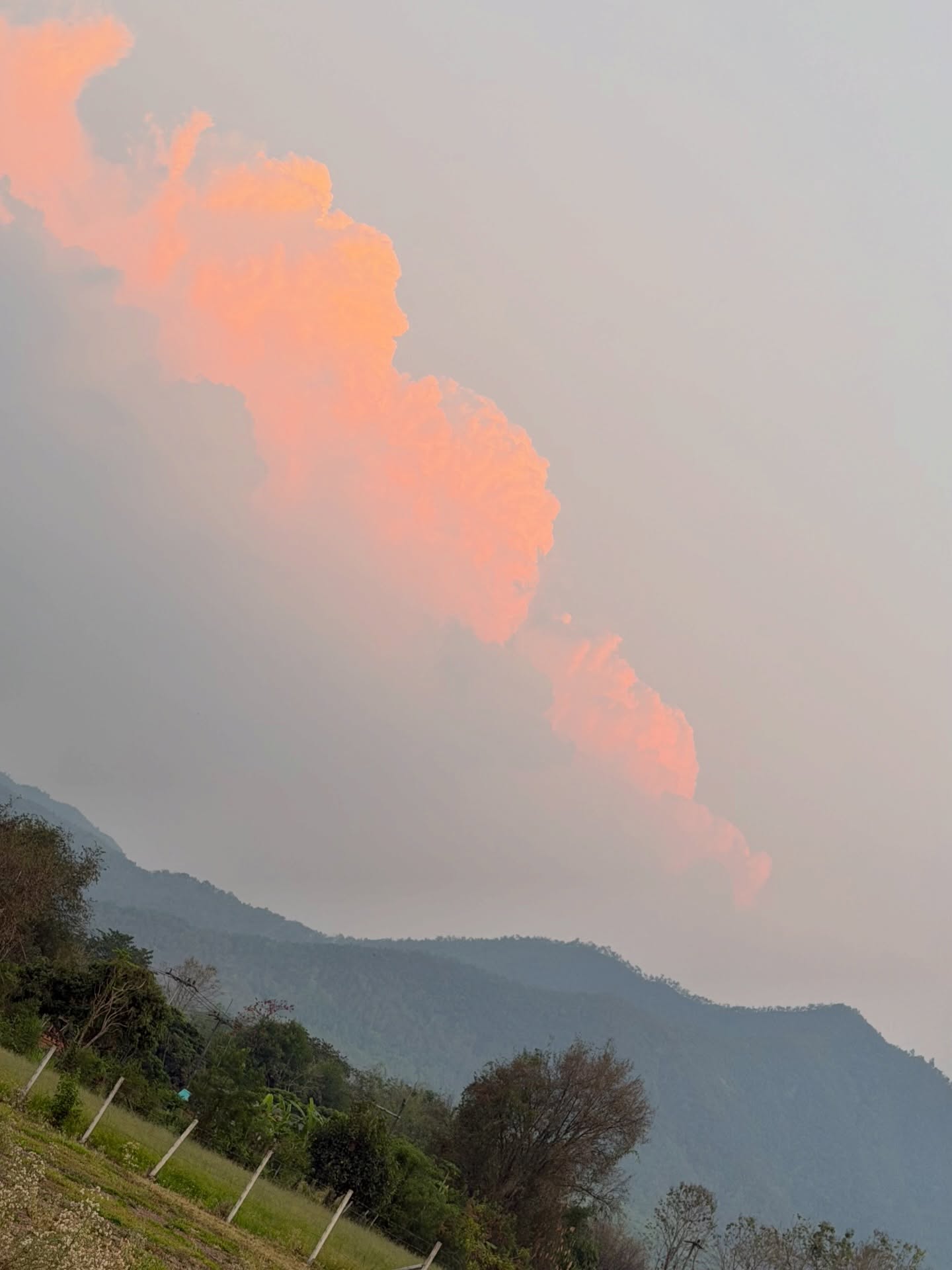 พลอย - ชิดจันทร์ ห่ง