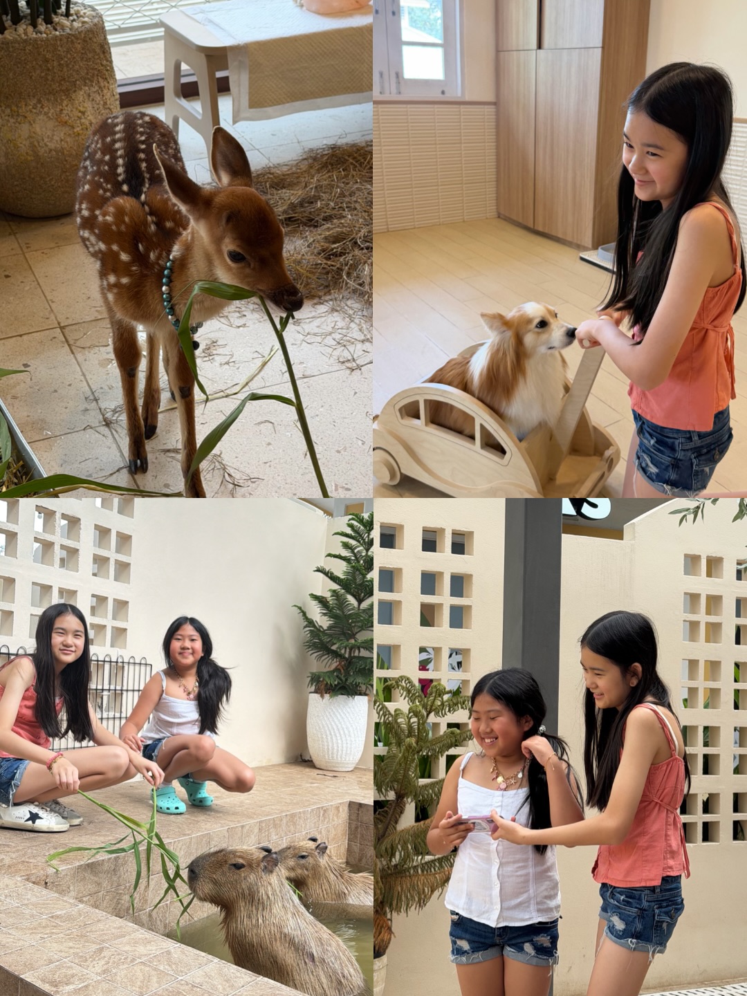 พลอย - ชิดจันทร์ ห่ง