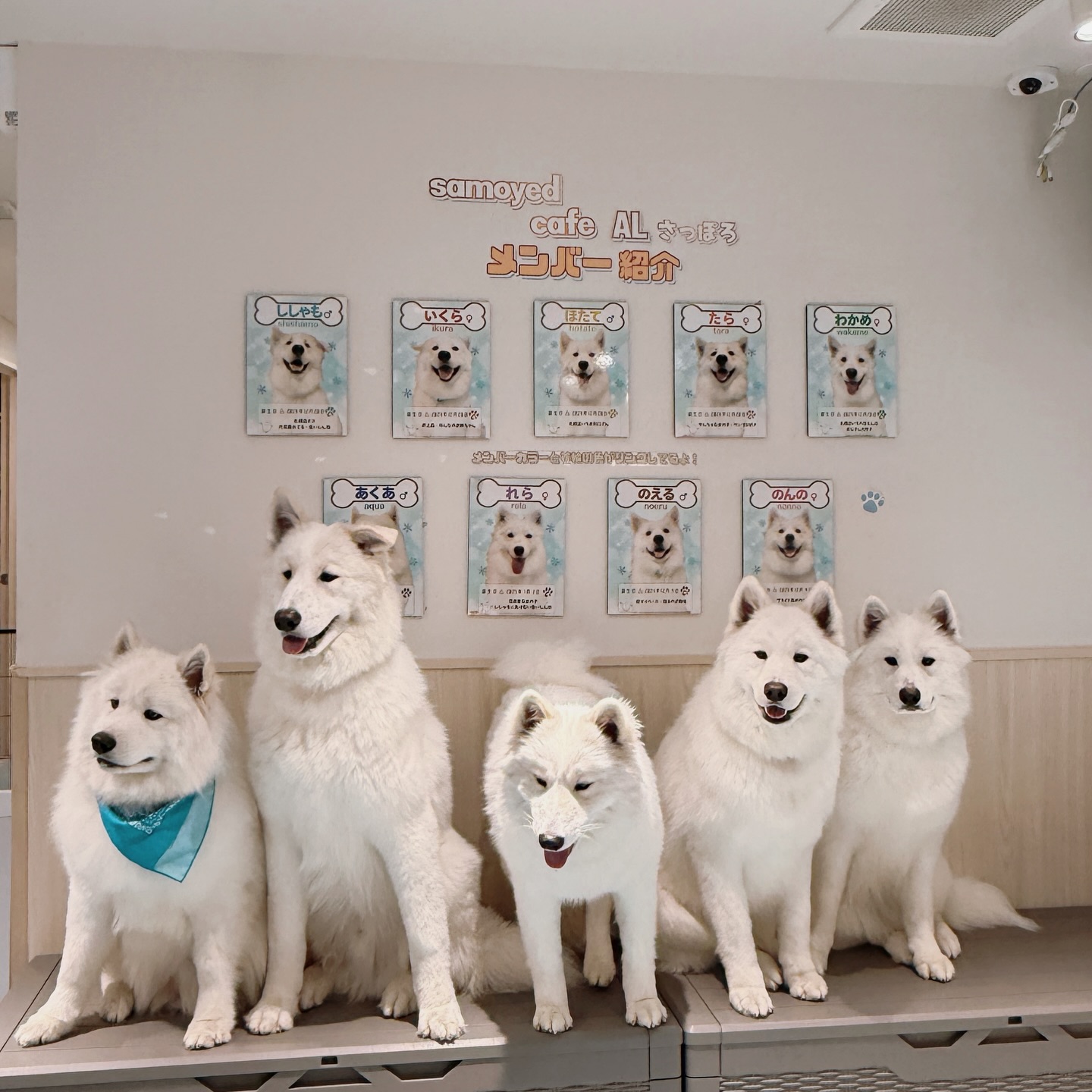 อุ้ม - ลักขณา วัธนวงส์ศิริ