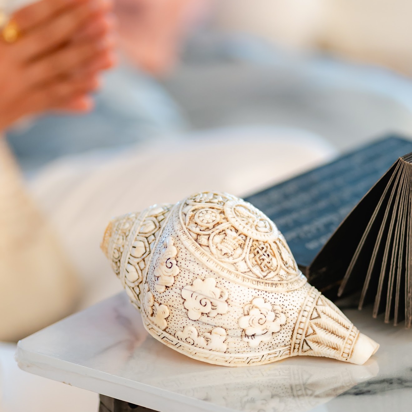 อุ้ม - ลักขณา วัธนวงส์ศิริ