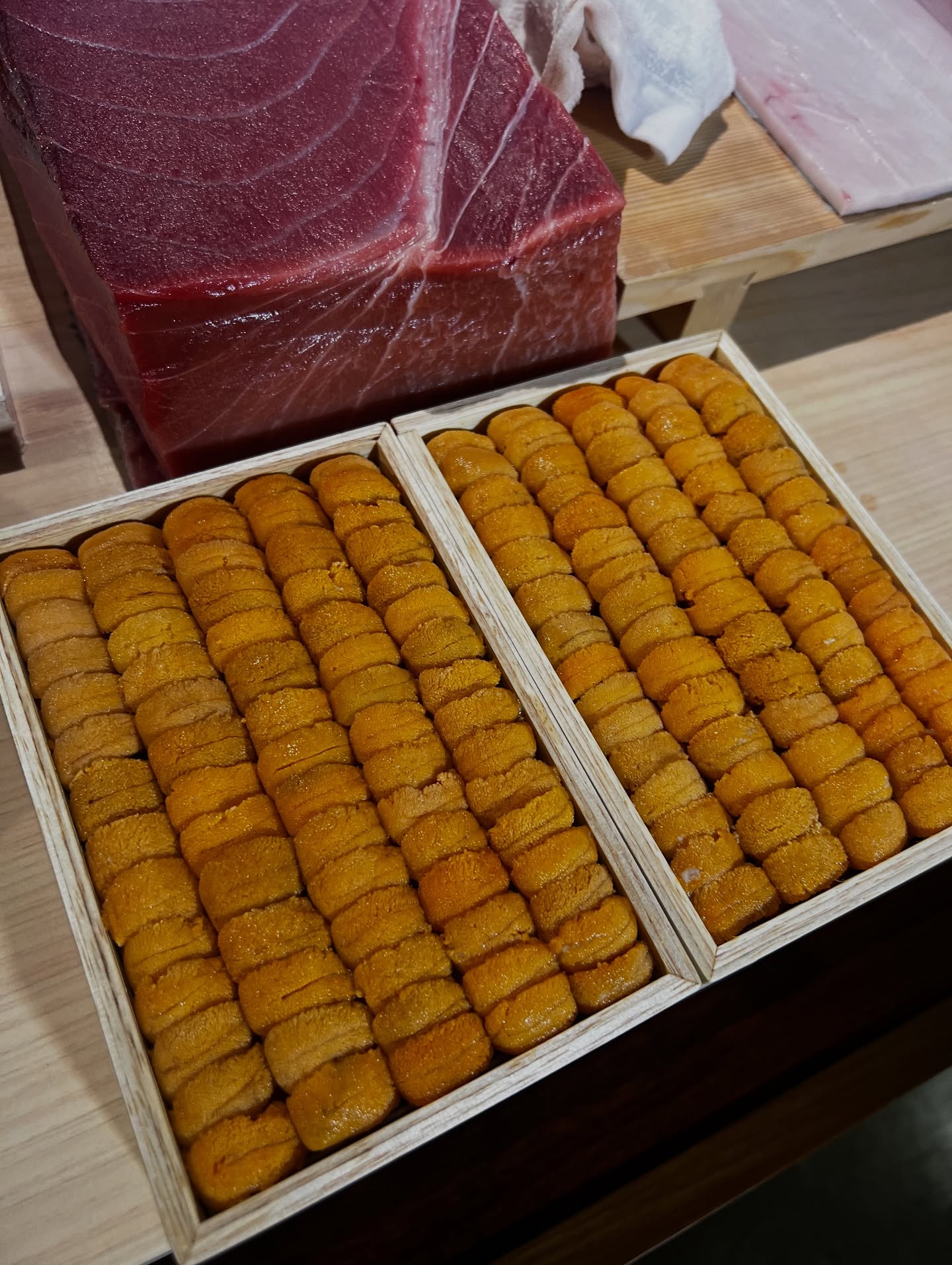 แอน - อลิชา หิรัญพฤกษ์
