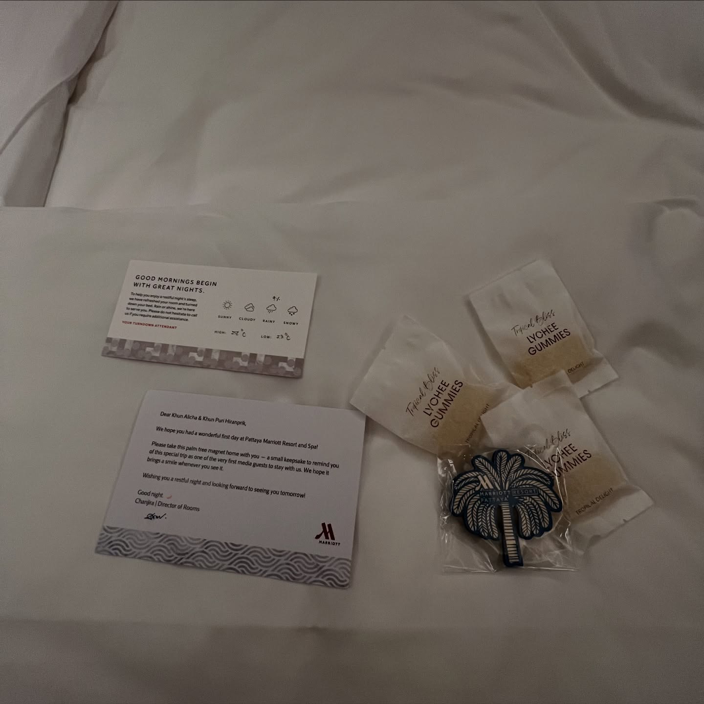 แอน - อลิชา หิรัญพฤกษ์