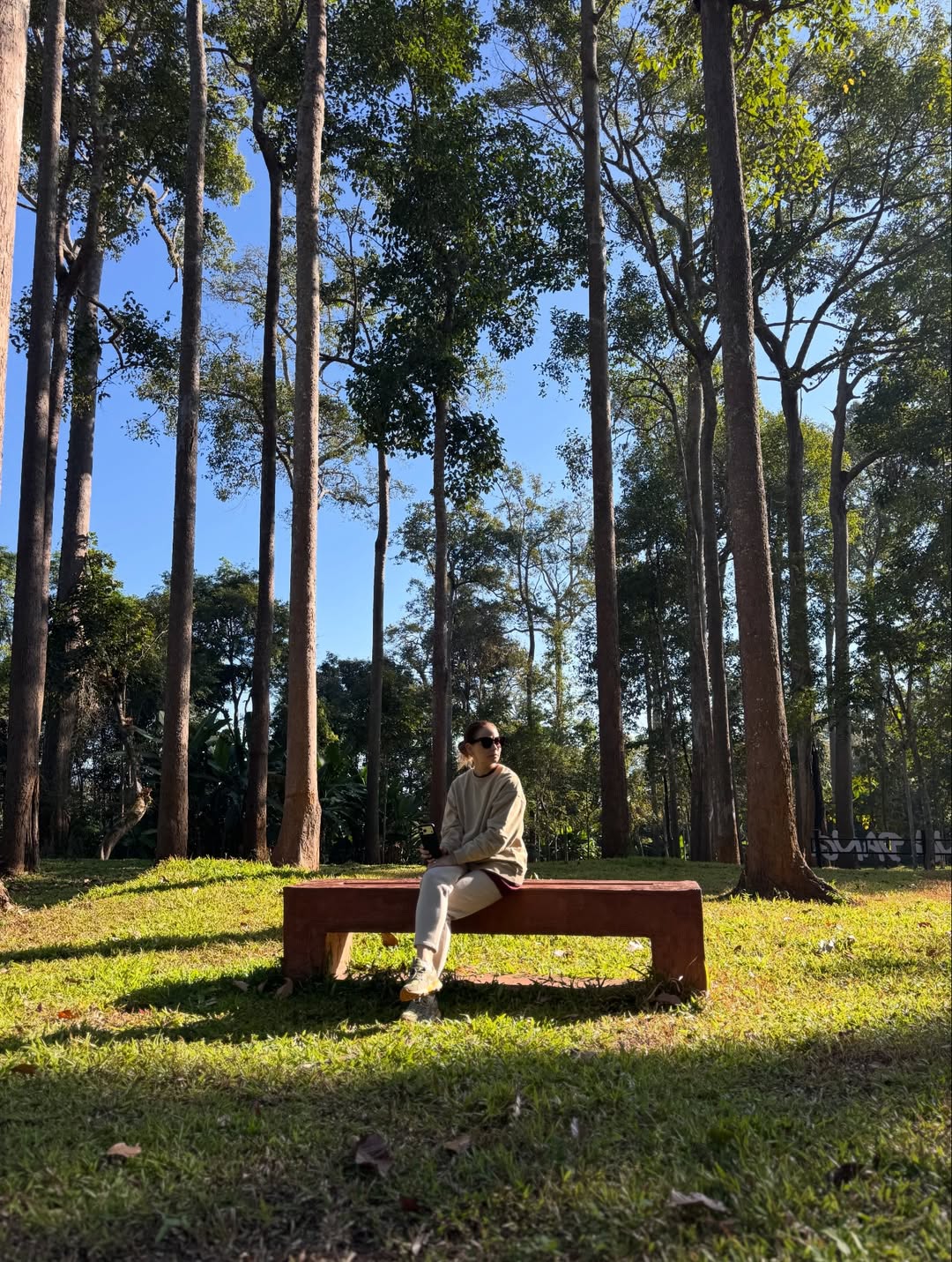 แอน - อลิชา หิรัญพฤกษ์