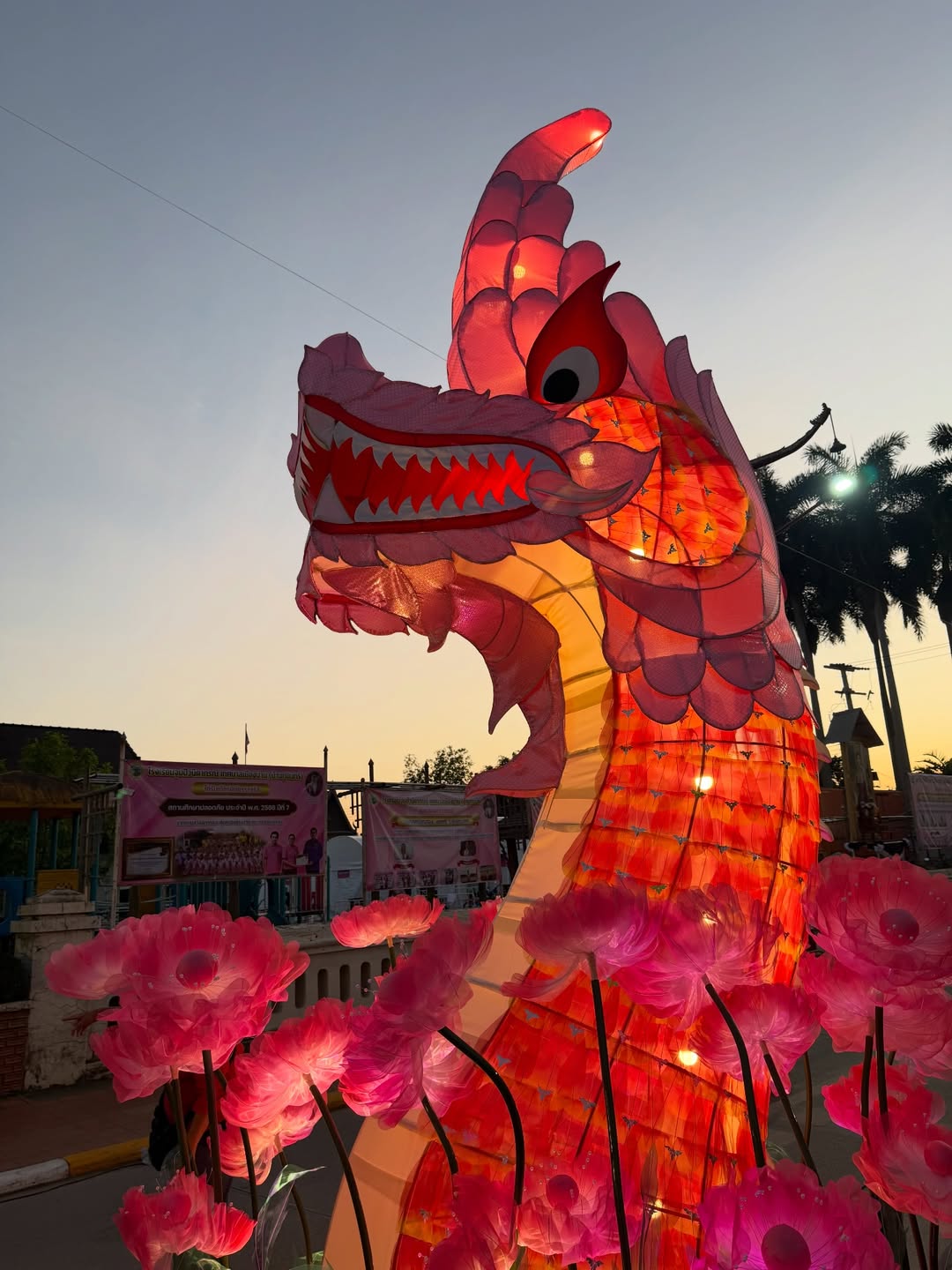 แอน - อลิชา หิรัญพฤกษ์