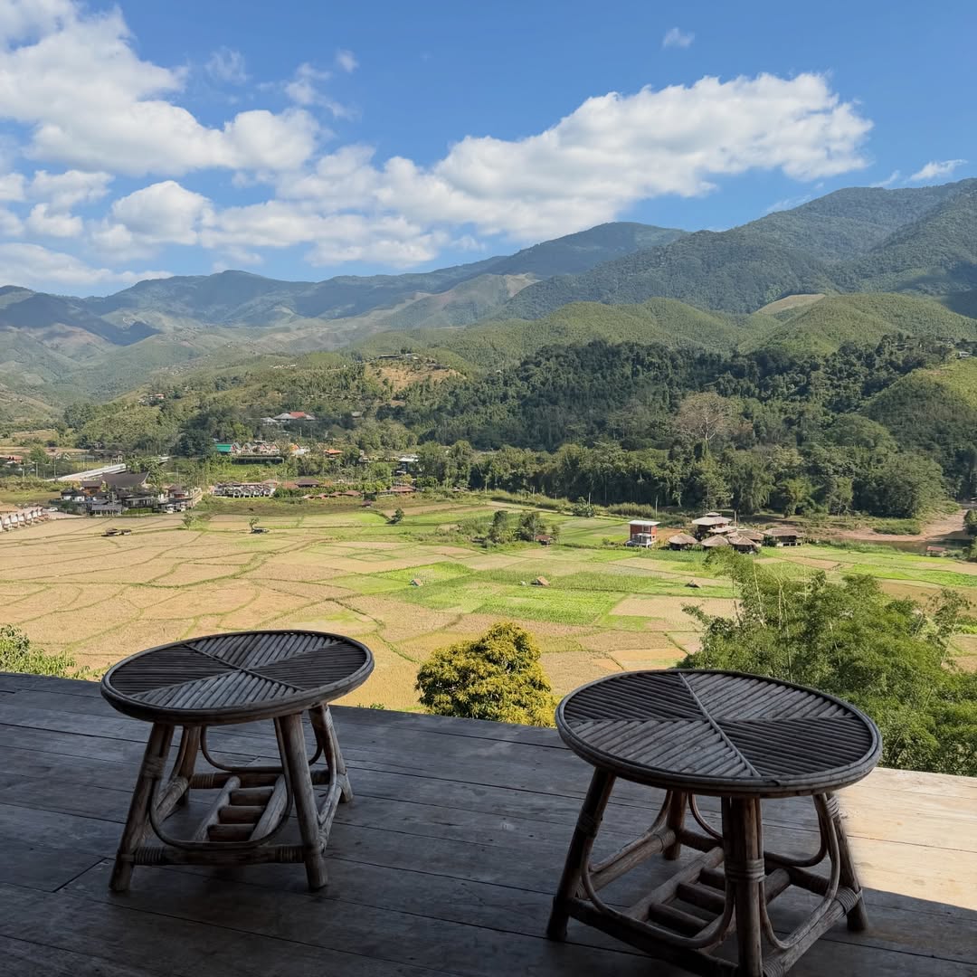 แอน - อลิชา หิรัญพฤกษ์