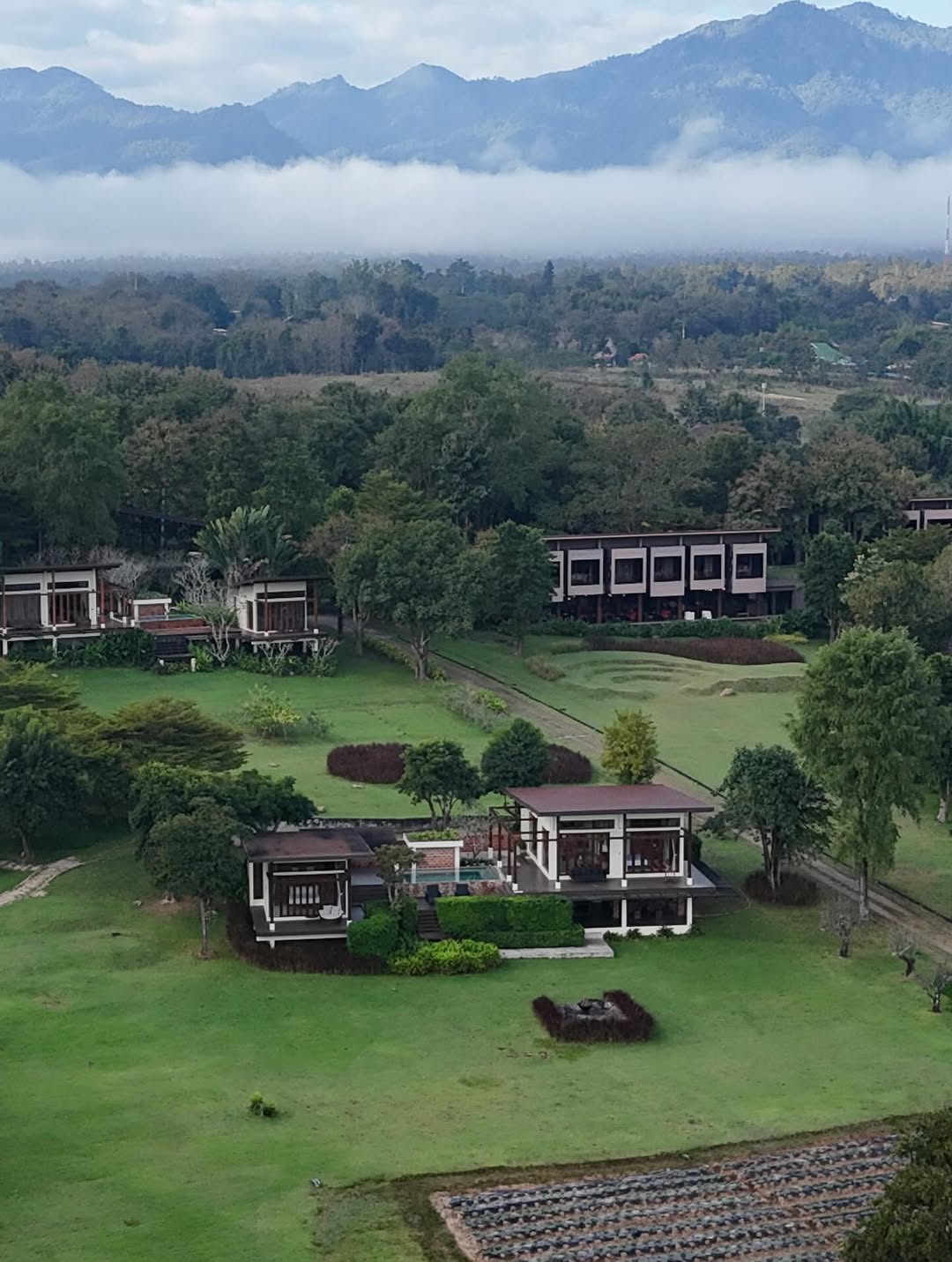 แอน - อลิชา หิรัญพฤกษ์