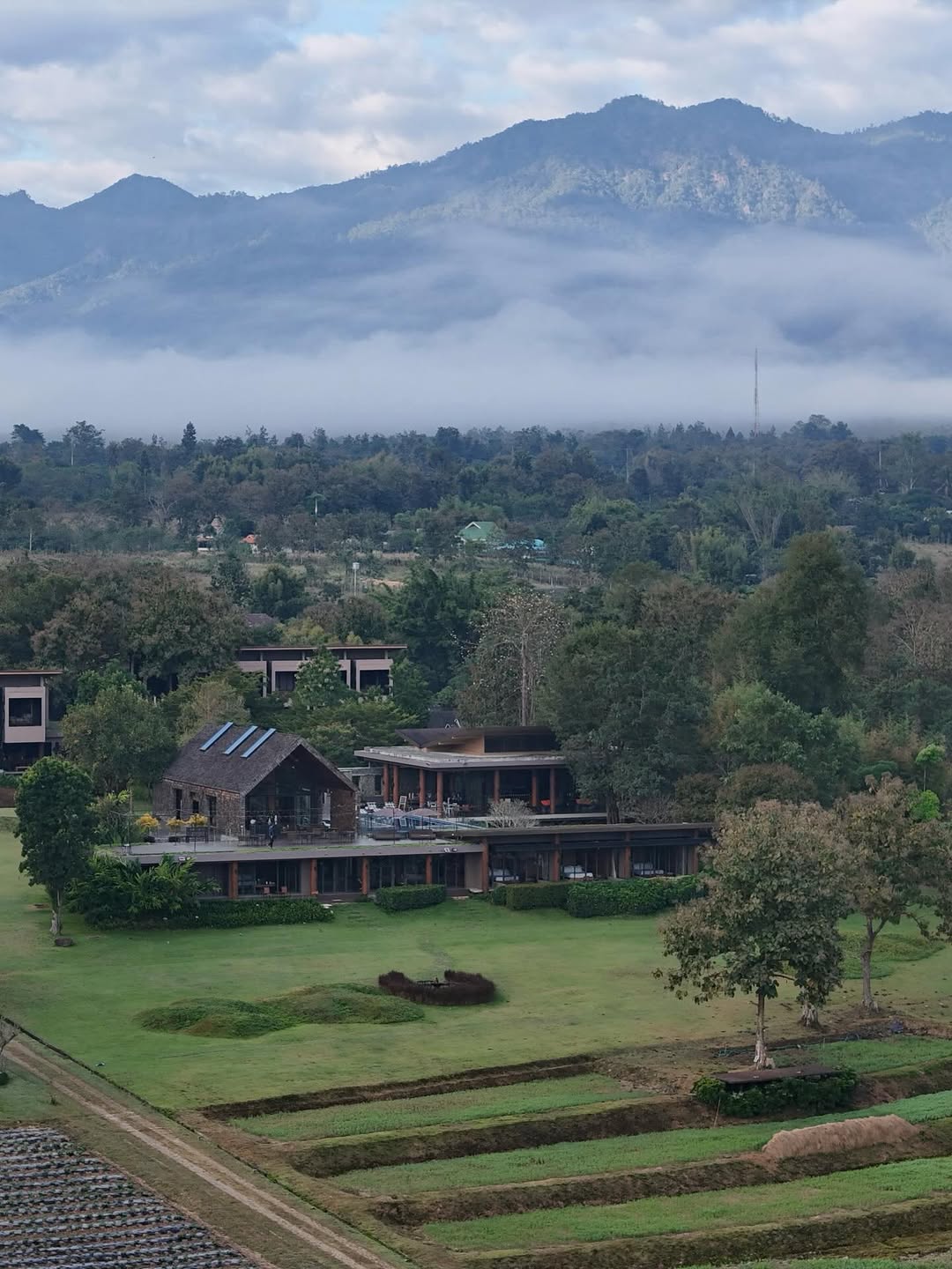 แอน - อลิชา หิรัญพฤกษ์