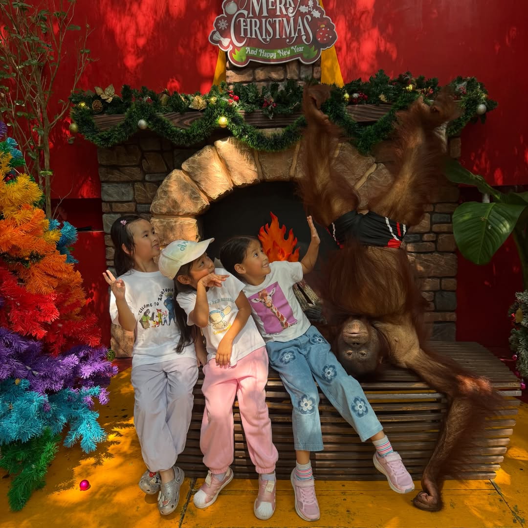 แอน - อลิชา หิรัญพฤกษ์