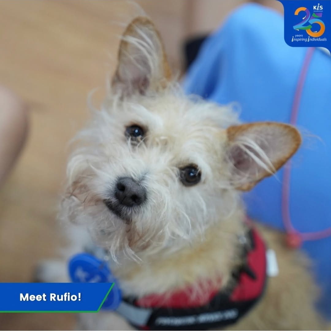 แอน - อลิชา หิรัญพฤกษ์