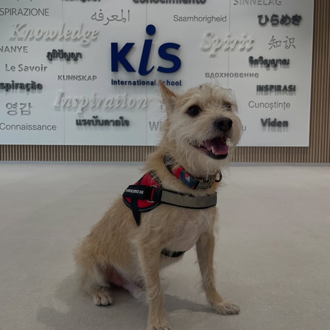 แอน - อลิชา หิรัญพฤกษ์