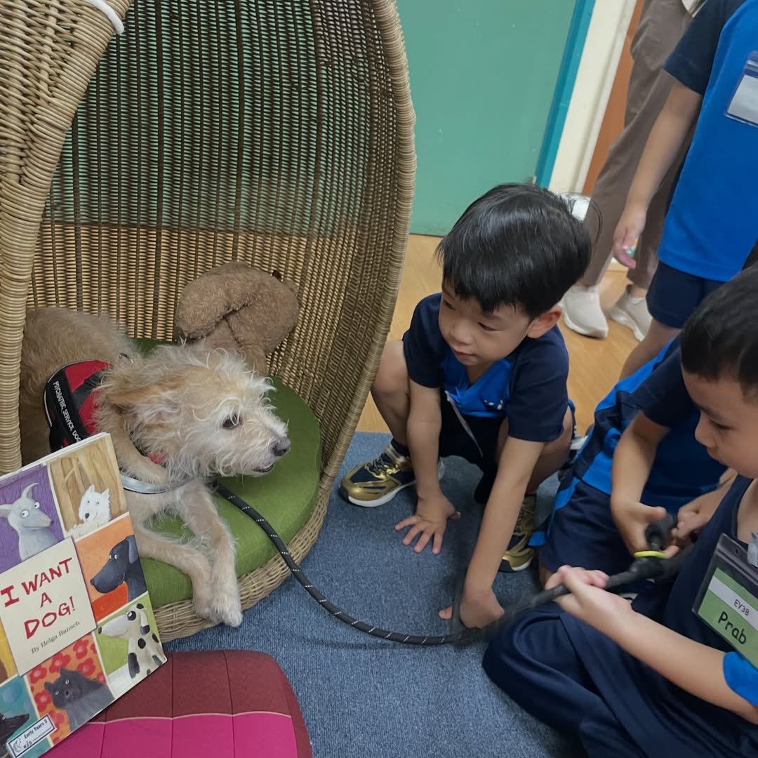 แอน - อลิชา หิรัญพฤกษ์