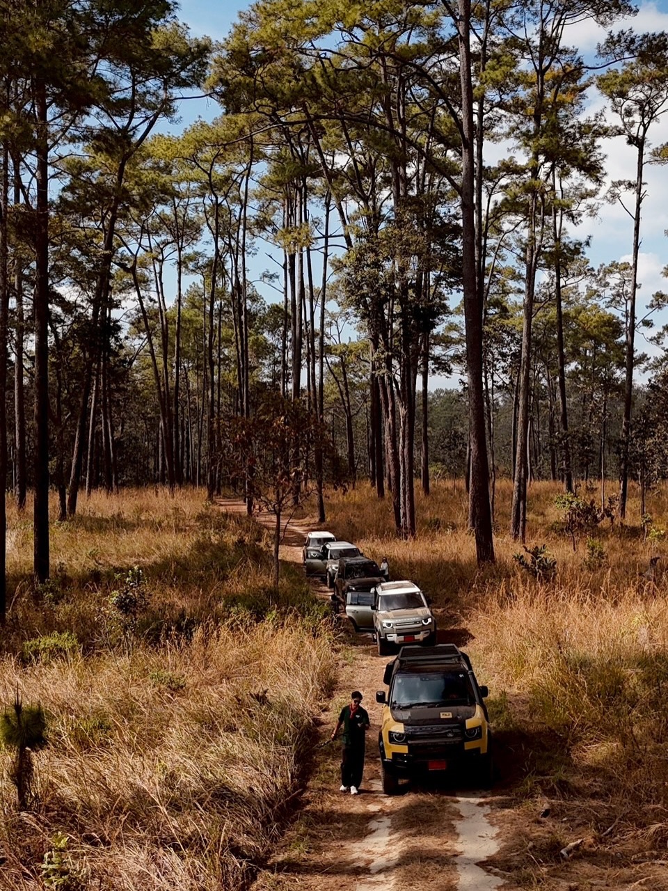 แอน - อลิชา หิรัญพฤกษ์