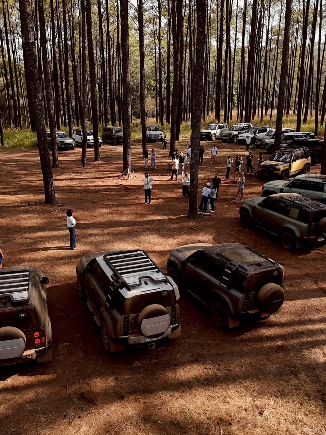 แอน - อลิชา หิรัญพฤกษ์