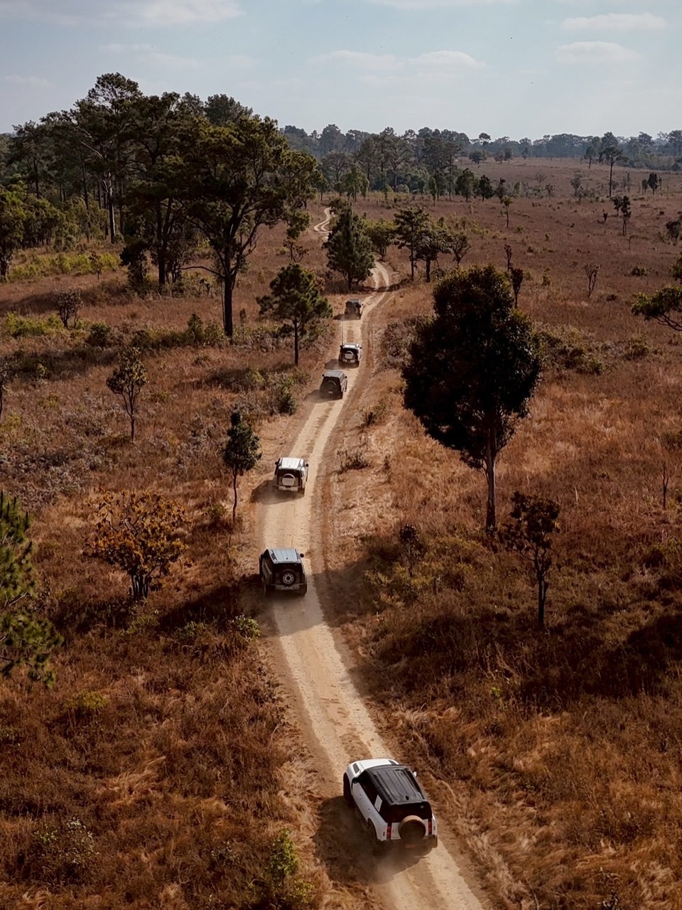 แอน - อลิชา หิรัญพฤกษ์