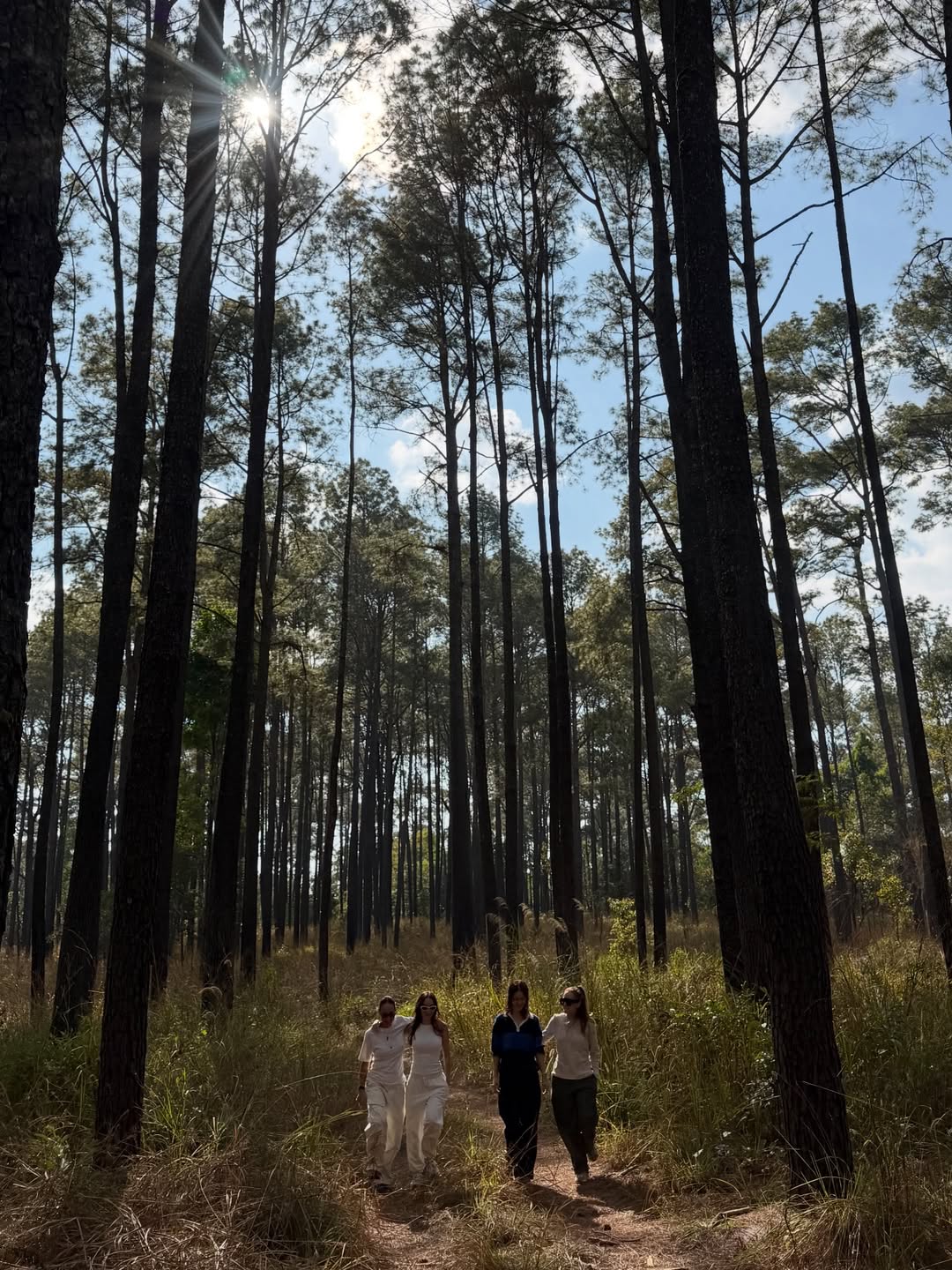 แอน - อลิชา หิรัญพฤกษ์