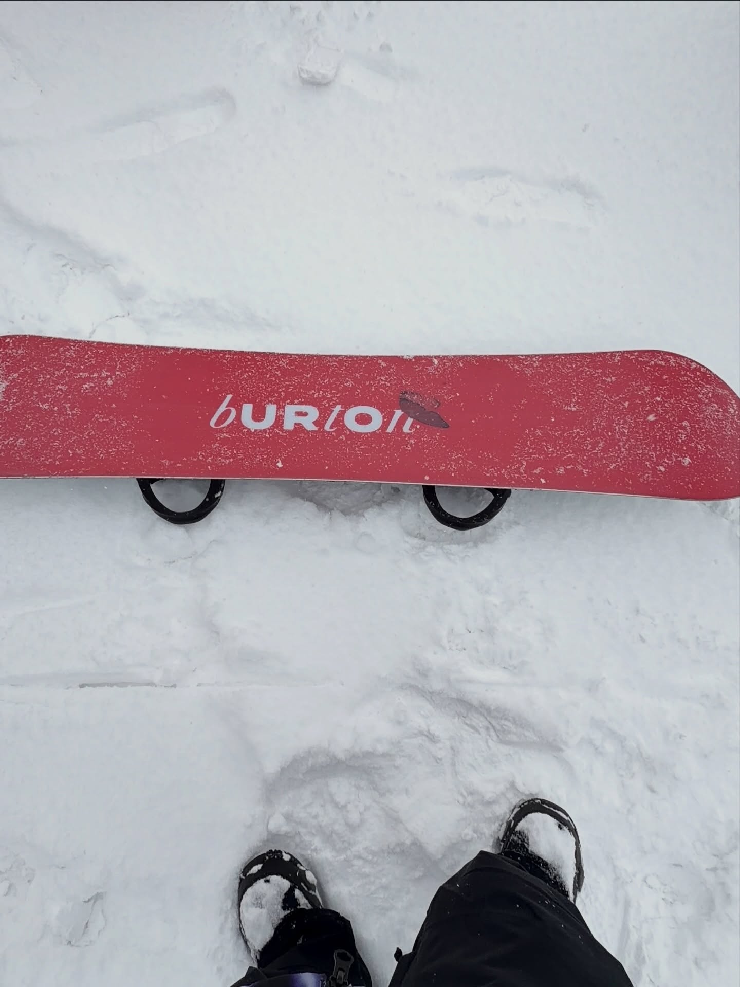 แอน - อลิชา หิรัญพฤกษ์