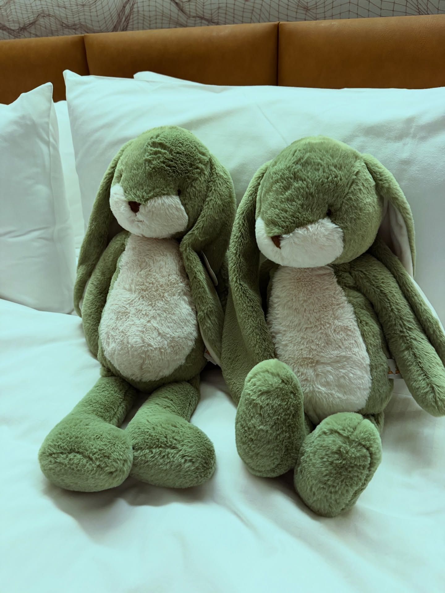 แอน - อลิชา หิรัญพฤกษ์